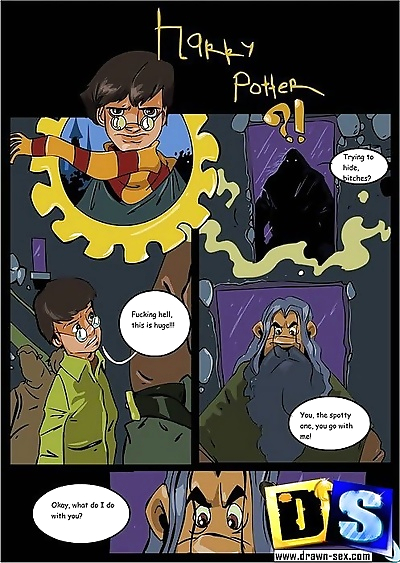 Harry potter fucking the..